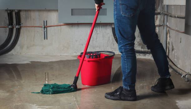 Best Local water damage restoration  in Milford, OH