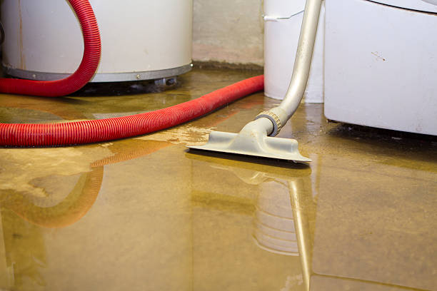 Best Residential water damage restoration  in Milford, OH